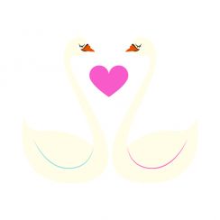 Couple de cygnes