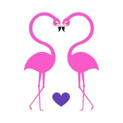 Couple de flamants roses