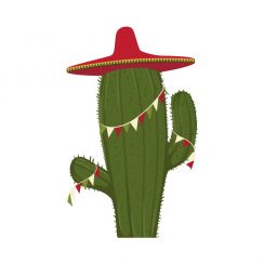 Cactus au sombrero