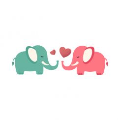 Couple d'éléphants