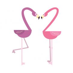 Deux flamants roses