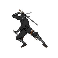 Ninja