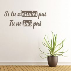 Si tu n'essaies pas, tu ne sais pas