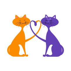 Couple de chats
