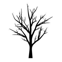 Arbre et ses branches dénudées