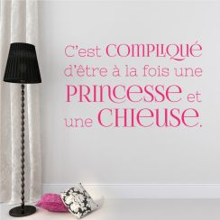 Etre une princesse et une chieuse