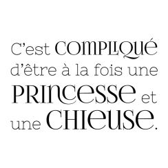 Etre une princesse et une chieuse