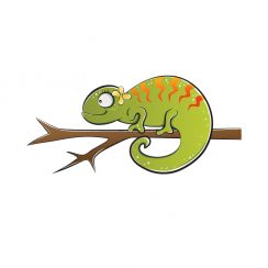 Cam&eacute;l&eacute;on pos&eacute; sur une branche