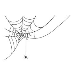 Toile et araignée qui pend au bout d'un fil