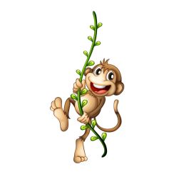 Singe qui se balance sur sa liane