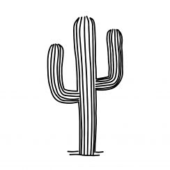 Cactus Minimaliste