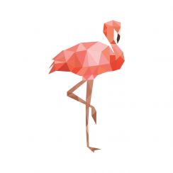 Flamand rose géométrique