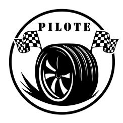 Pilote de voiture